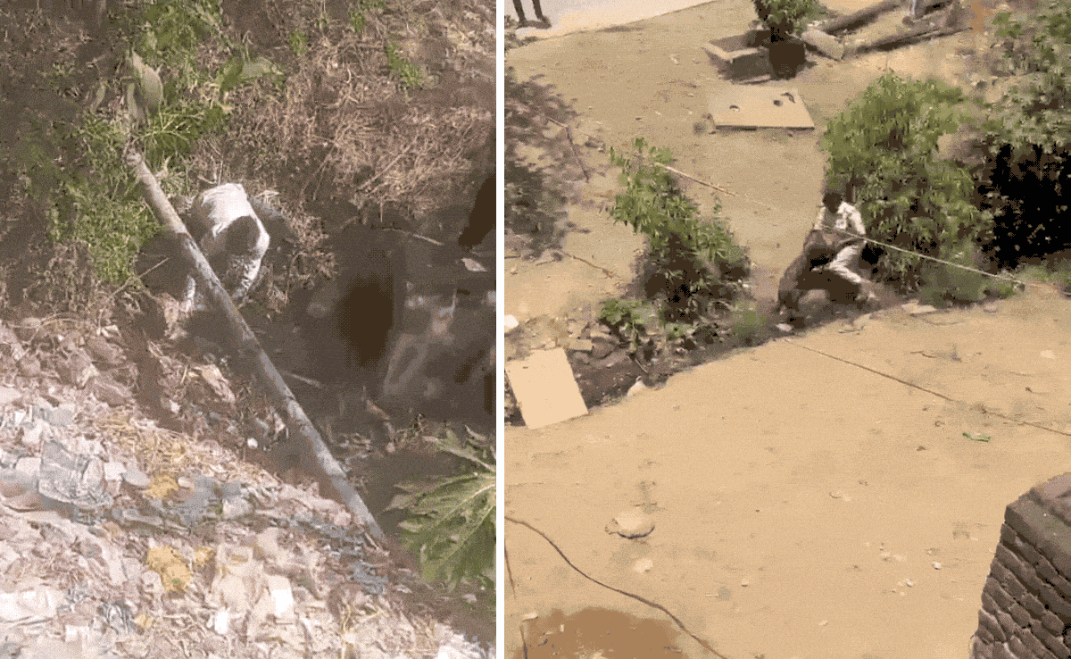 VIDEO: तेंदुए को दबोचकर पीठ पर बैठा युवक, गांव में घुसकर 5 लोगों पर किया हमला, तलाश जारी&nbsp;