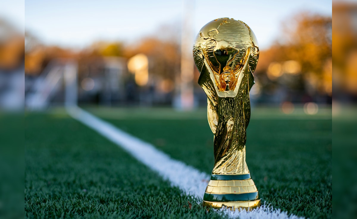 World Cup Final: Football Fans Lash Out At FIFA For Exorbitant Ticket Prices