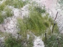 देश में गजब मौसम का हाल, मैदानों में गर्मी और पहाड़ों में ओले; कुल्लू में मुरझाई सेब की फसल