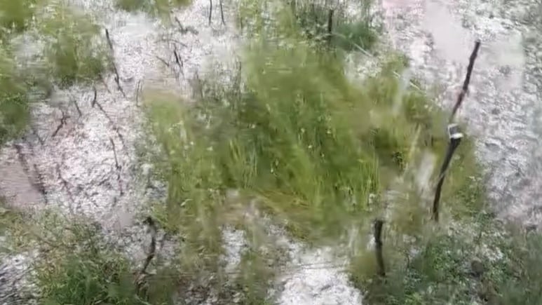 देश में गजब मौसम का हाल, मैदानों में गर्मी और पहाड़ों में ओले; कुल्लू में मुरझाई सेब की फसल