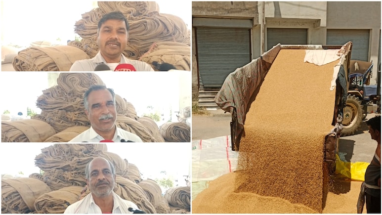 Online Girdawari Rajasthan: फसल गेहूं की और मैसेज आ रहा सरसों का, राजसमंद में ऑनलाइन गड़बड़ी से किसान बेहाल