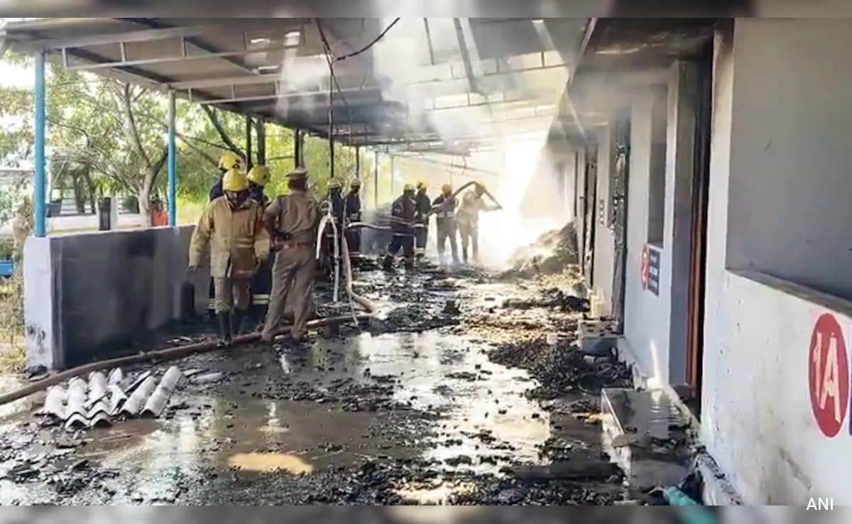 Tamil Nadu Factory Blast: Probe Finds Safety Lapses, 20 Workers In Room Meant For 4