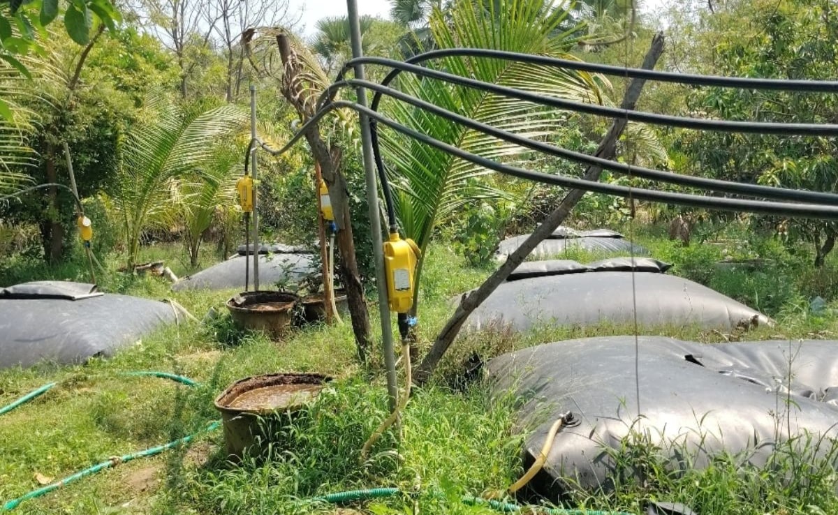 LPG किल्लत की खबर के बीच किसान का बायोगैस यूनिट चर्चाओं में, किफायती तरीके कर रहे रसोई और खेती