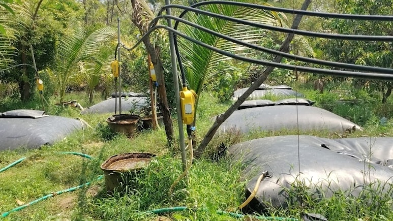 LPG किल्लत की खबर के बीच किसान का बायोगैस यूनिट चर्चाओं में, रसोई गैस और खेती का अपनाया किफायती तरीका