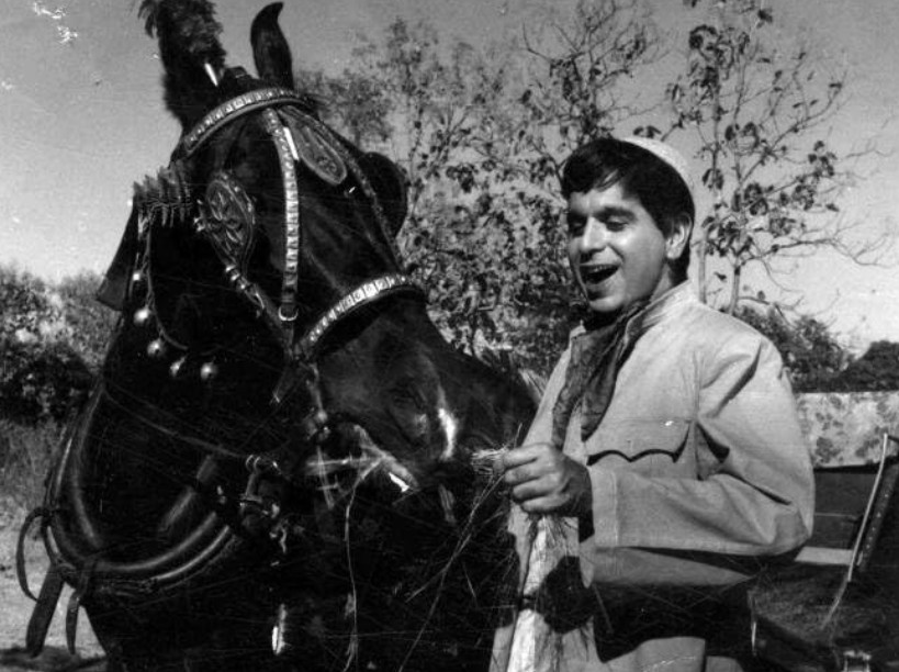 69 साल पहले जिस कहानी को सबने किया रिजेक्ट, वो फिल्म रही सुपर-डुपर हिट, 14 लाख में बनी और कमाए 3.75 करोड़