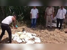 Rajasthan: धौलपुर में खाद्य सुरक्षा विभाग ने मिलावटखोरों पर कसा शिकंजा,  325 किलो पनीर और मावा किया नष्ट