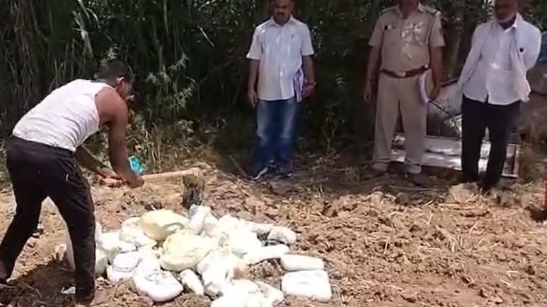 Rajasthan: धौलपुर में खाद्य सुरक्षा विभाग ने मिलावटखोरों पर कसा शिकंजा,  325 किलो पनीर और मावा किया नष्ट