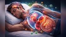 आप सो रहे होते हैं… लेकिन आपका शरीर नहीं! जानिए 24 घंटे क्या-क्या चलता रहता है अंदर