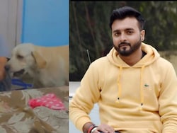 UP Property Dealer, Under Debt, Poisons Pet Labrador, Then Dies By Suicide