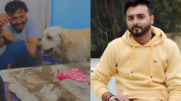 UP Property Dealer, Under Debt, Poisons Pet Labrador, Then Dies By Suicide
