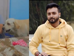 UP Property Dealer, Under Debt, Poisons Pet Labrador, Then Dies By Suicide