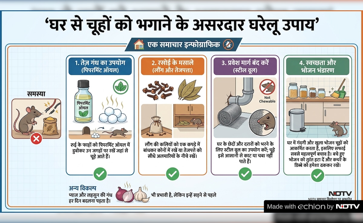 Latest and Breaking News on NDTV