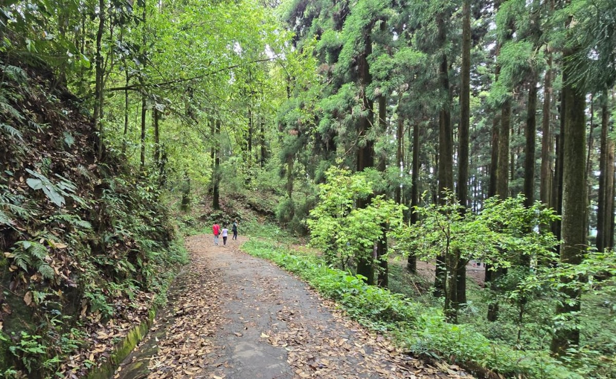 This destination both beautiful and spine-tingling for travellers.