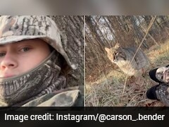 Bobcat Attacks US Teen During Turkey Hunt, Terrifying Video Goes Viral