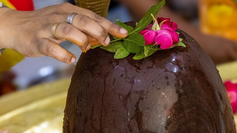 हर हर महादेव! आता एकाच ट्रेनमधून करा 7 ज्योतिर्लिंगांचं दर्शन; IRCTC चं स्पेशल पॅकेज, खर्च किती होईल?
