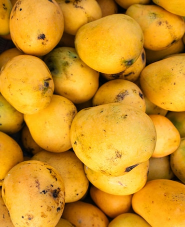 7 Summer Foods To Boost Immunity Naturally