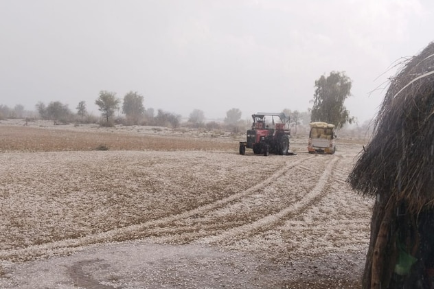 अप्रैल के महीने में ऐसी बारिश! राजस्थान में जनजीवन अस्त-व्यस्त, खेतों में ओले की सफेद चादर; फसलें बर्बाद