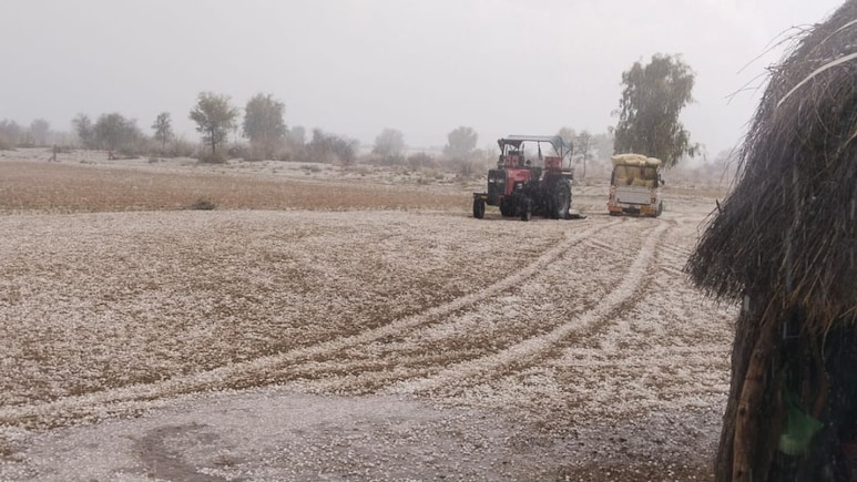 Rajasthan Weather: अप्रैल के महीने में ऐसी बारिश! राजस्थान में जनजीवन अस्त-व्यस्त, खेतों में ओले की सफेद चादर; फसलें बर्बाद