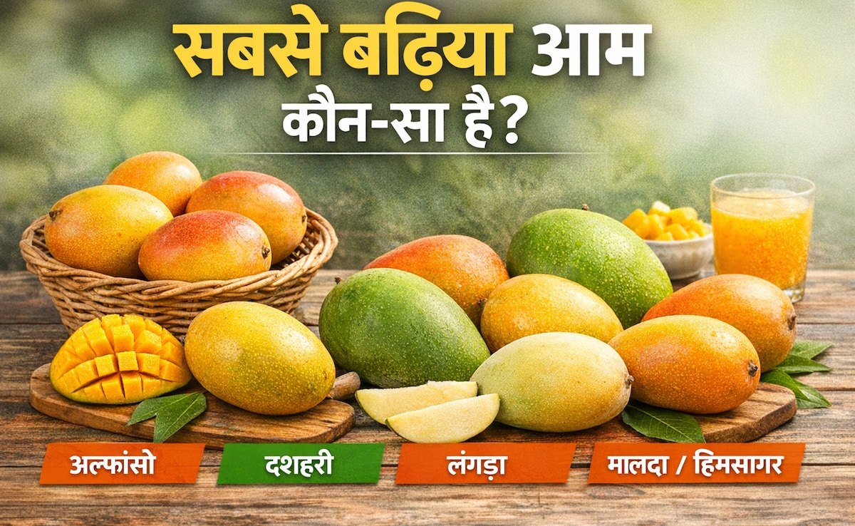 आम की सबसे बढ़िया वैरायटी कौन सी है? अल्फांसो से लंगड़ा तक, जानिए किसकी कितनी है धाक
