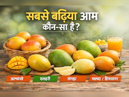 भारत में सबसे बढ़िया आम कौन‑सा? जानिए हर वैरायटी की खासियत