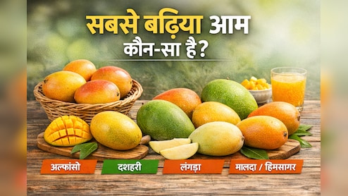 भारत में सबसे बढ़िया आम कौन‑सा? जानिए हर वैरायटी की खासियत