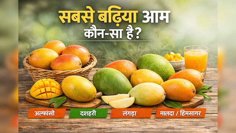 भारत में सबसे बढ़िया आम कौन‑सा? जानिए हर वैरायटी की खासियत