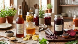 Kombucha vs. Kanji: Are Your Favourite Probiotics Actually Reaching Your Gut?