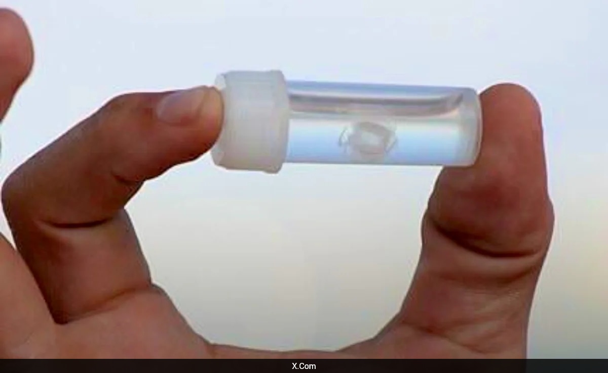 World's Most Painful Sting Revealed, And It's Not What You Think