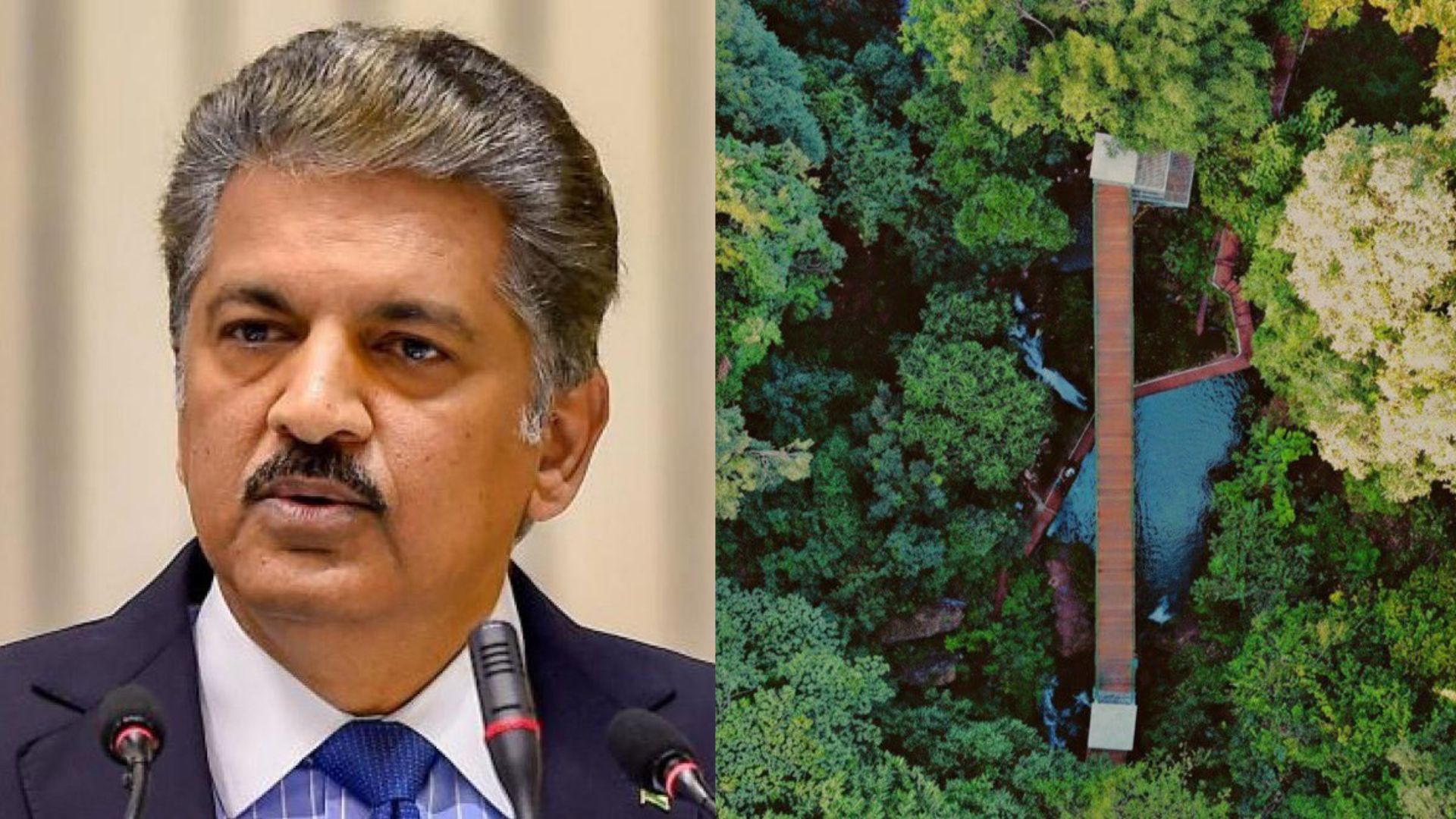 This 'Hill Of Clouds' In Jharkhand Has Anand Mahindra's Attention, Here's Why