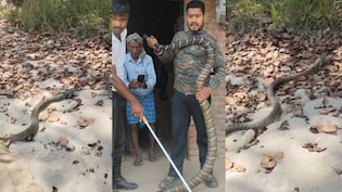 Bihar: जंगल से निकला 10 फीट का कोबरा बेडरूम में घुसा, अफरा-तफरी के बाद वन विभाग ने किया रेस्क्यू