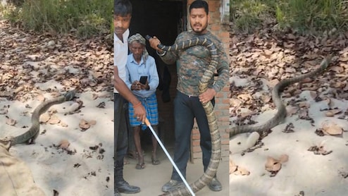 Bihar: जंगल से निकला 10 फीट का कोबरा बेडरूम में घुसा, अफरा-तफरी के बाद वन विभाग ने किया रेस्क्यू