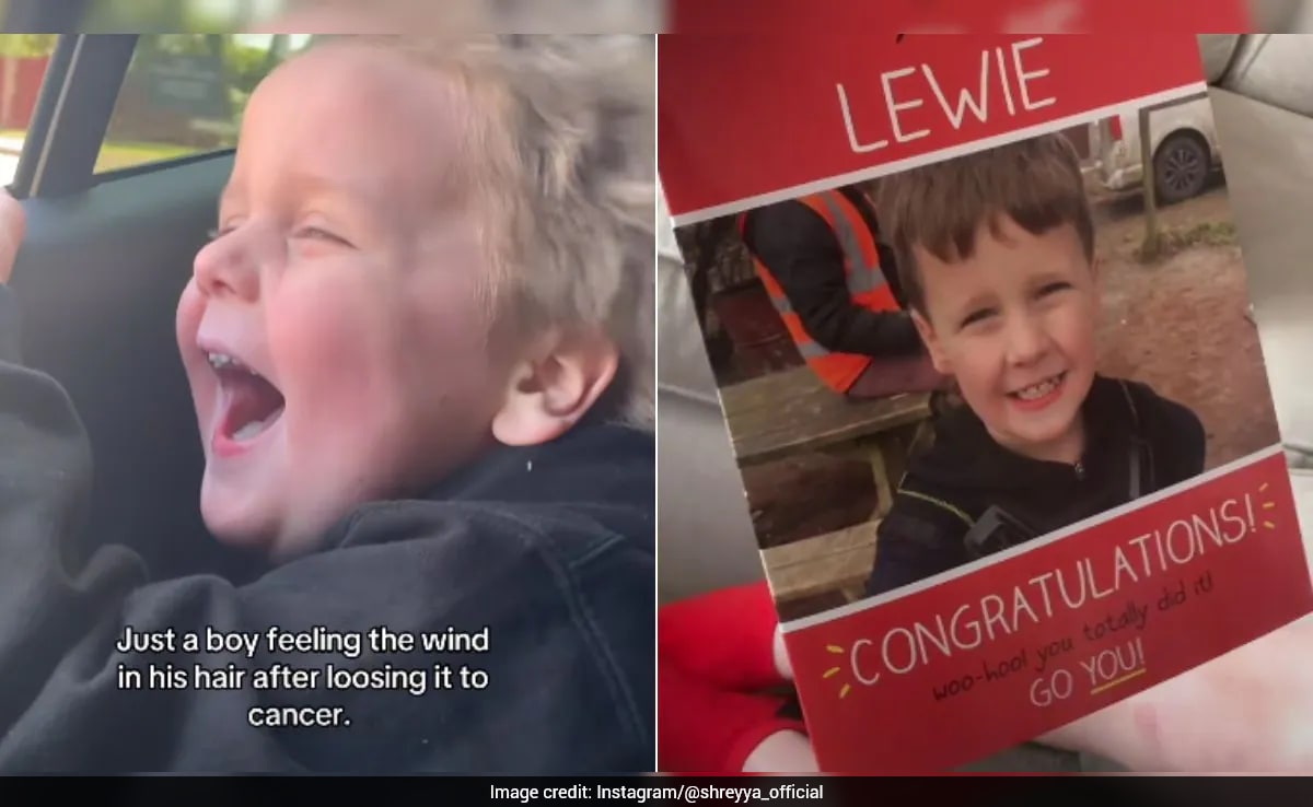 The Art of Baking: From Classic Bread to Artisan Pastries