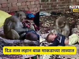 VIDEO: बाप रे! माकडाने 3 महिन्यांच्या बाळाला घेतलं कुशीत, दीड तास श्वास रोखून धरणाऱ्या घटनेचा थरारक शेवट