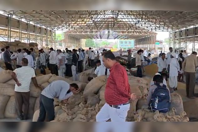 खुले बाजार में सस्ते दामों पर बेच रहे गेहूं खुले बाजार में सस्ते दामों पर बेच रहे गेहूं