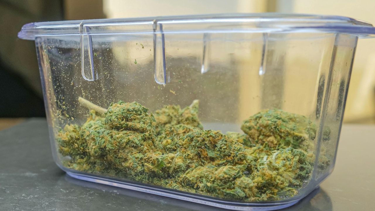 Best Airtight Containers That Do Not Leak Even After Microwave Use