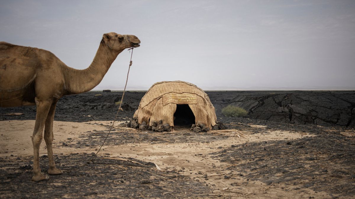 While much of the Danakil Depression is uninhabited, the Afar people live in nearby areas, including a semi-permanent settlement called Hamadela.