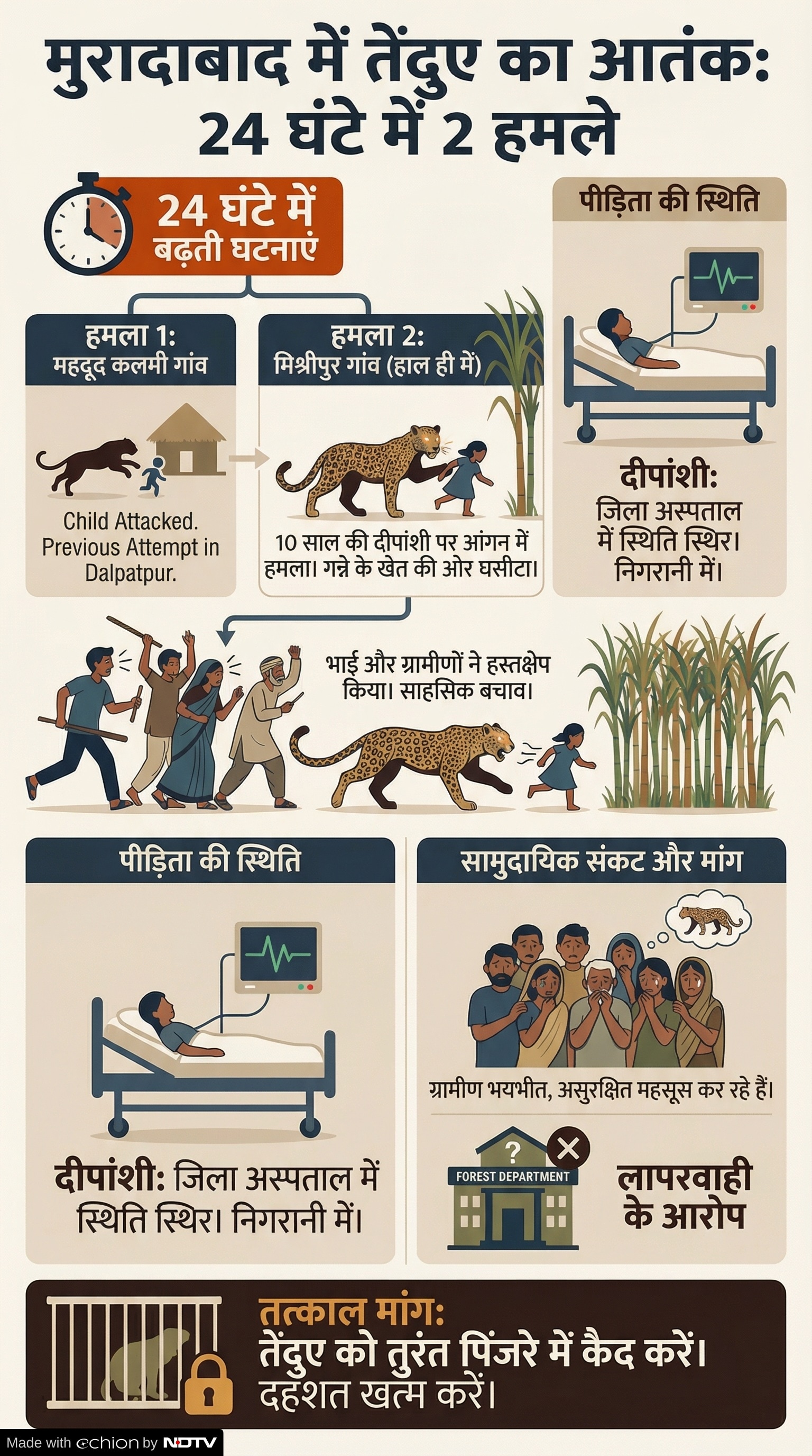 Leopard Attack Moradabad: मुरादाबाद में तेंदुए का आंतक