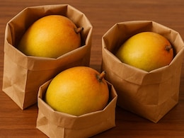Why Storing Mangoes In That Blinkit Bag Is A Smart Choice For Summer