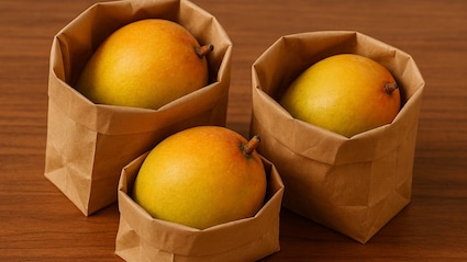 Why Storing Mangoes In That Blinkit Bag Is A Smart Choice For Summer