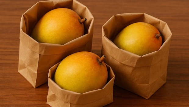 Why Storing Mangoes In That Blinkit Bag Is A Smart Choice For Summer