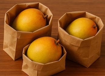Why Storing Mangoes In That Blinkit Bag Is A Smart Choice For Summer