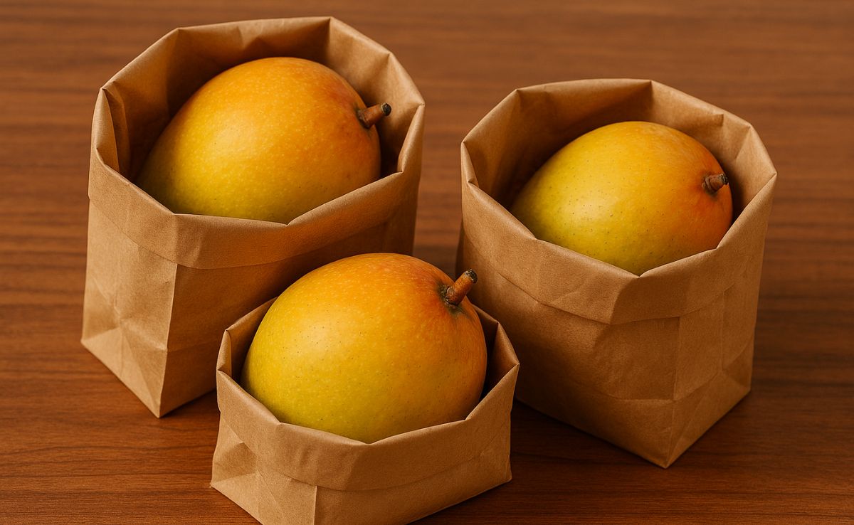 Why Storing Mangoes In That Blinkit Bag Is A Smart Choice For Summer