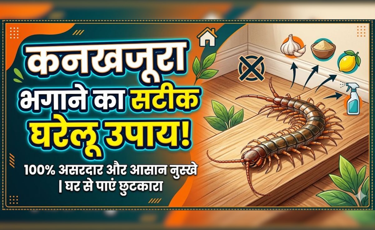 सिर्फ 2 रुपए में कनखजूरे से छुटकारा, अपनाएं ये आसान देसी उपाय