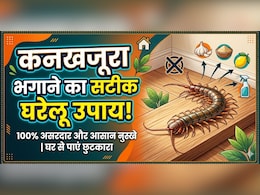 सिर्फ 2 रुपए में कनखजूरे से छुटकारा, अपनाएं ये आसान देसी उपाय