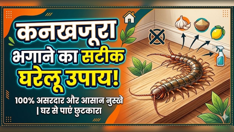 सिर्फ 2 रुपए में कनखजूरे से छुटकारा, अपनाएं ये आसान देसी उपाय