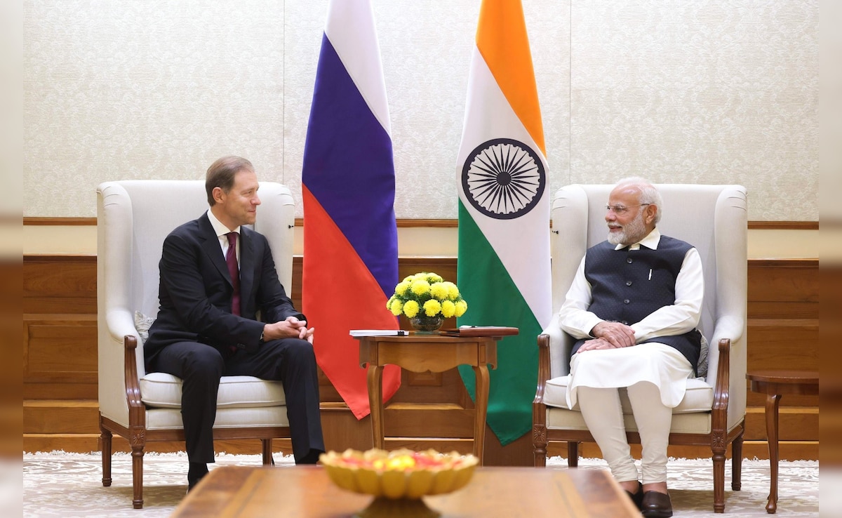 Russian Deputy PM Meets PM Modi, Discuss Trade, Economic Ties