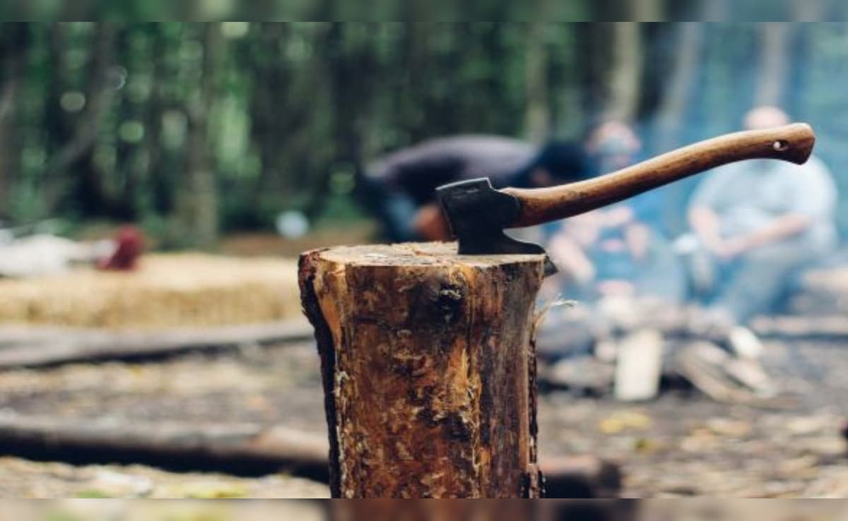 दिल्ली में पेड़ काटने की शिकायत कहां करें? CM रेखा गुप्ता ने जारी किया हेल्पलाइन नंबर, तुरंत होगा एक्शन