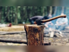 दिल्ली में पेड़ काटने की शिकायत कहां करें? CM रेखा गुप्ता ने जारी किया हेल्पलाइन नंबर, तुरंत होगा एक्शन