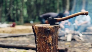 दिल्ली में पेड़ काटने की शिकायत कहां करें? CM रेखा गुप्ता ने जारी किया हेल्पलाइन नंबर, तुरंत होगा एक्शन