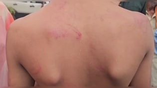 ब&zwj;िहार: प्राइवेट स्कूल में छात्र की बेल्ट से पिटाई, स्&zwj;कूल में परिजनों से धक्का-मुक्की पर हंगामा